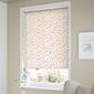 サムネイル写真